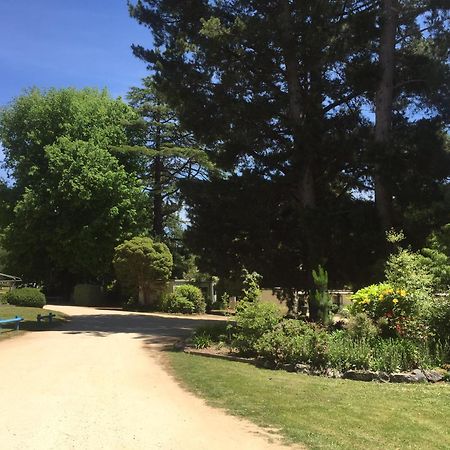 Daylesford Holiday Park Εξωτερικό φωτογραφία