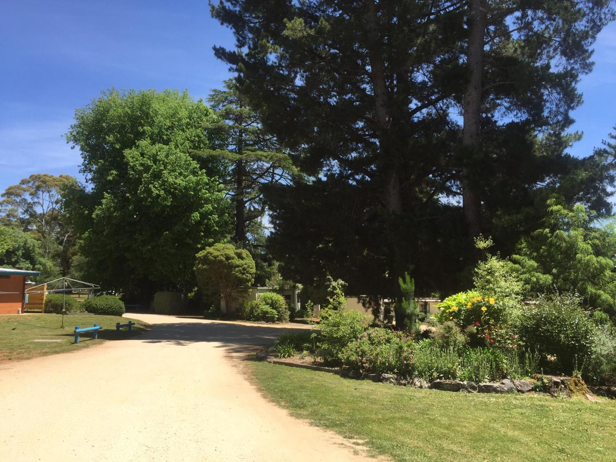 Daylesford Holiday Park Εξωτερικό φωτογραφία
