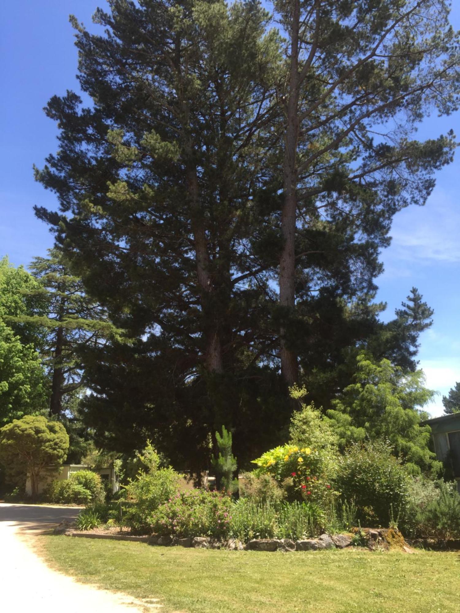 Daylesford Holiday Park Εξωτερικό φωτογραφία